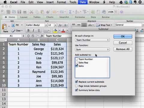collapsing subtotal in excel 2011 for mac